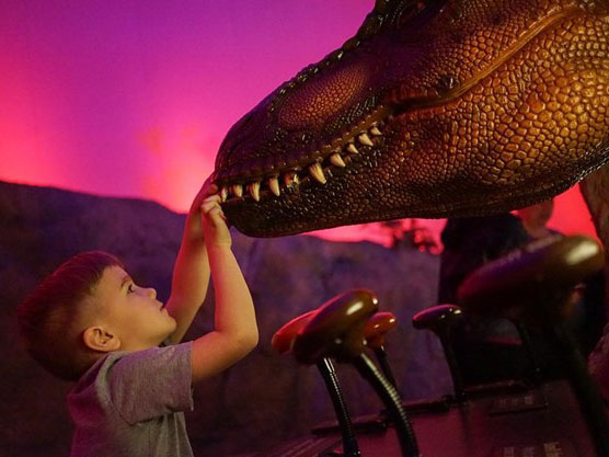 Child touching face of dinosaur sculpture.